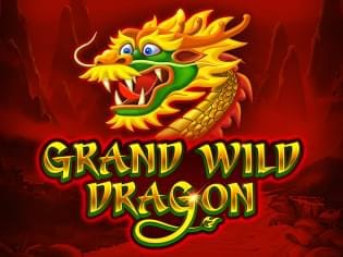 Grand Wild Dragon game cover