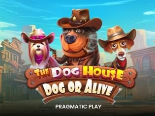 The Dog House – Dog or Alive game cover