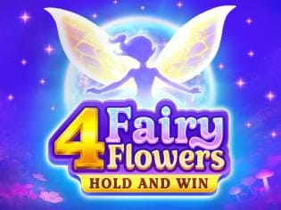 4 Fairy Flowers game cover